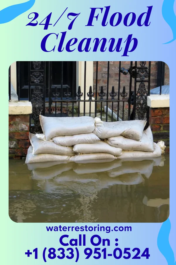 24/7 Flood Cleanup in Dumb Hundred, PA