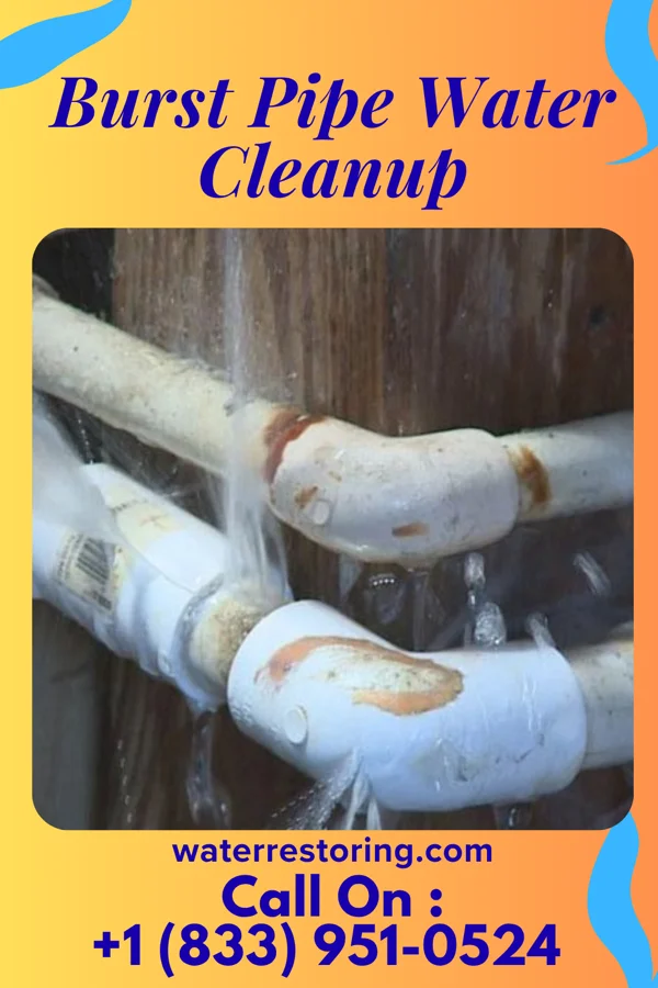 Burst Pipe Water Cleanup in Dumb Hundred, PA