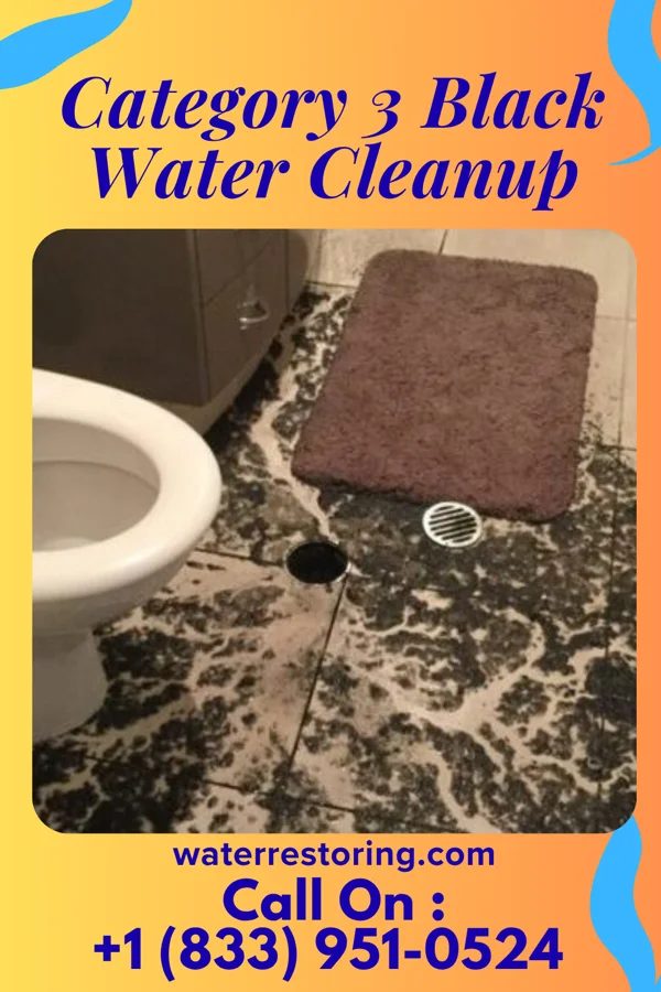 Category 3 Black Water Cleanup in Dumb Hundred, PA