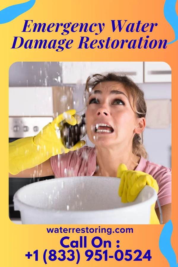 Emergency Water Damage Restoration in Dumb Hundred, PA