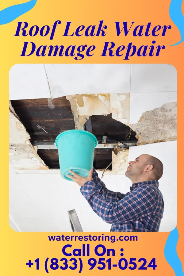 Roof Leak Water Damage Repair in Dumb Hundred, PA