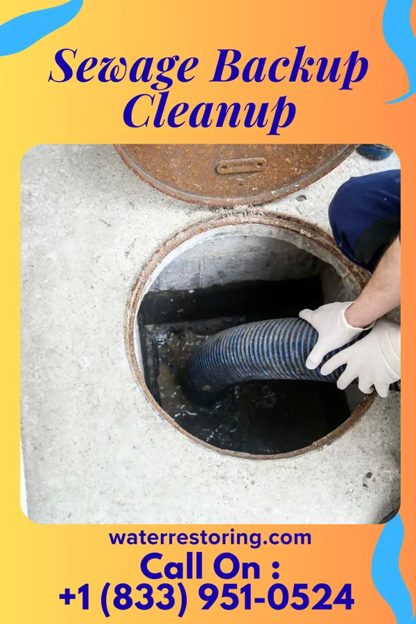 Sewage Backup Cleanup in Dumb Hundred, PA