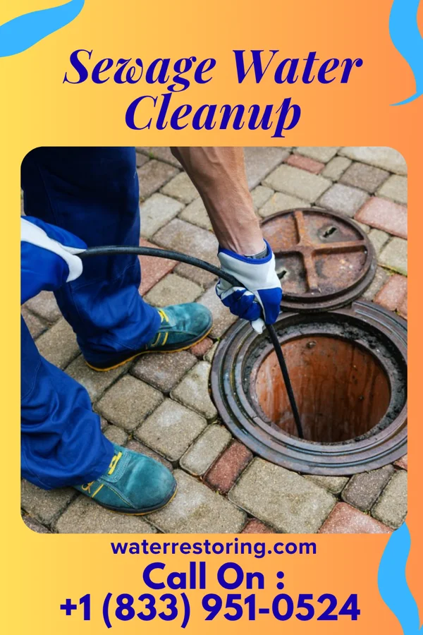 Sewage Water Cleanup in Dumb Hundred, PA