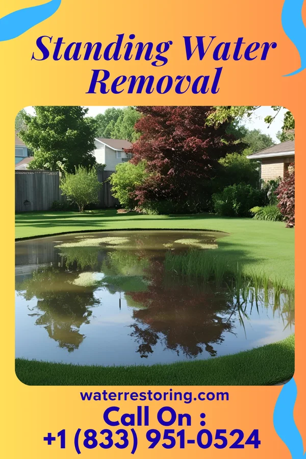 Standing Water Removal in Dumb Hundred, PA